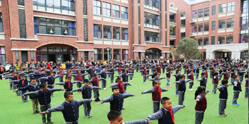 綠蛙成功落戶于樂灣國際實驗小學多功能廳