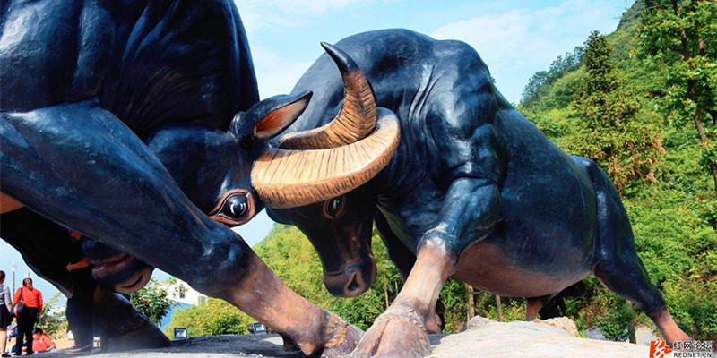 云臺山斗牛場，綠蛙看臺帶您引爆腎上腺，現(xiàn)場感受力的較量！